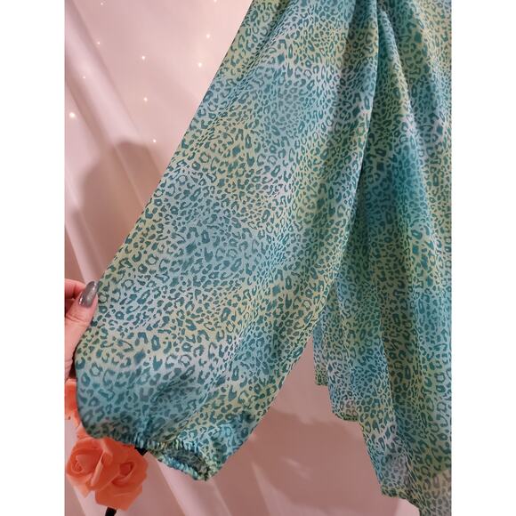 Belle Kim Gravel QVC Womens Leopard Animal Print V-Neck Blouse Top Size 3X Sheer - Picture 6 of 13